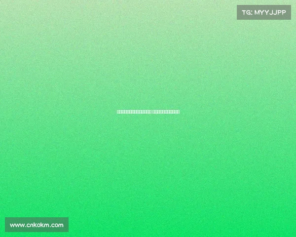 美职女篮季后赛席位争夺白热化 火花与梦想上演激烈对决